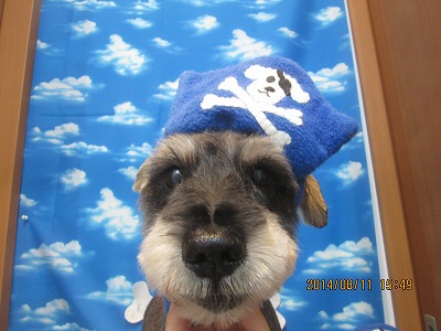 ファイル 8032-1.jpg