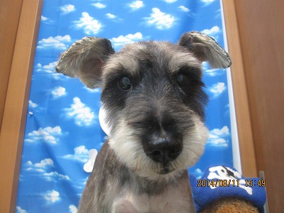 ファイル 8032-2.jpg