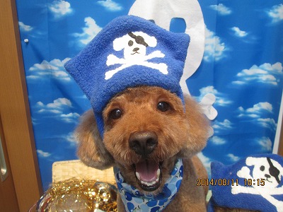 ファイル 8033-1.jpg