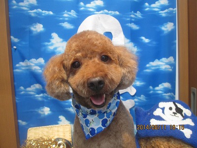 ファイル 8033-2.jpg