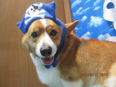 ファイル 8034-1.jpg