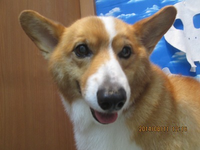 ファイル 8034-2.jpg