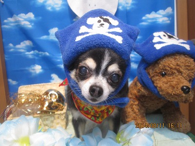 ファイル 8035-1.jpg