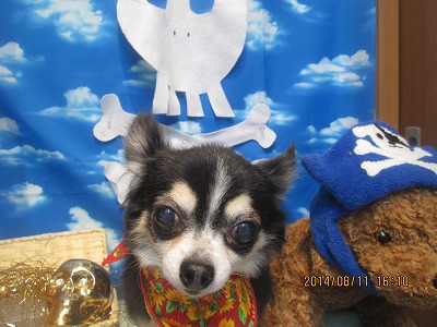 ファイル 8035-2.jpg