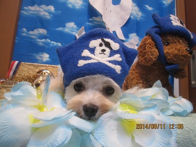 ファイル 8036-1.jpg