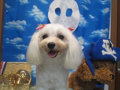 ファイル 8036-2.jpg