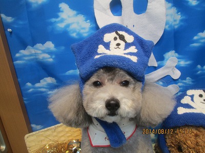 ファイル 8037-1.jpg