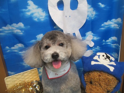 ファイル 8037-2.jpg