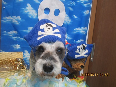 ファイル 8038-1.jpg