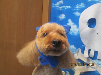 ファイル 8039-1.jpg