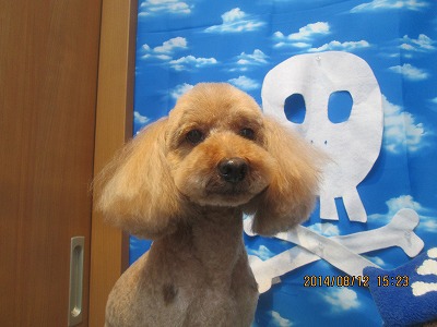 ファイル 8039-2.jpg