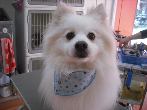 ファイル 804-1.jpg