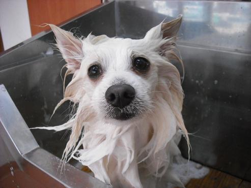 ファイル 804-3.jpg