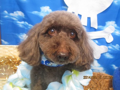 ファイル 8040-1.jpg