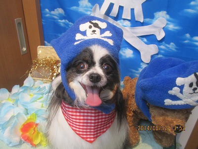 ファイル 8041-1.jpg