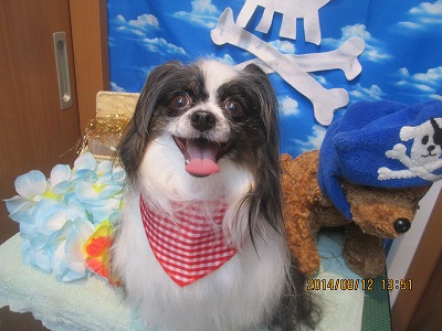 ファイル 8041-2.jpg