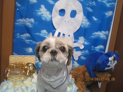 ファイル 8042-1.jpg