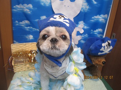 ファイル 8042-2.jpg