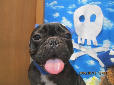 ファイル 8043-1.jpg