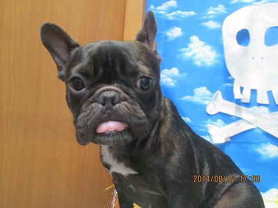 ファイル 8043-2.jpg