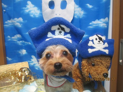 ファイル 8044-1.jpg