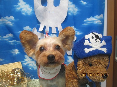 ファイル 8044-2.jpg