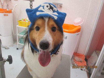 ファイル 8045-1.jpg