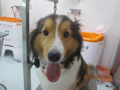 ファイル 8045-2.jpg