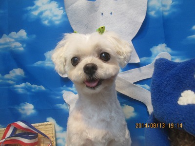 ファイル 8046-1.jpg