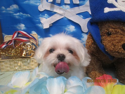 ファイル 8046-2.jpg