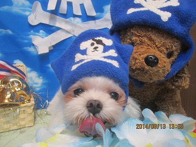 ファイル 8046-3.jpg