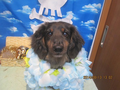 ファイル 8047-1.jpg