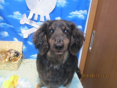 ファイル 8047-2.jpg