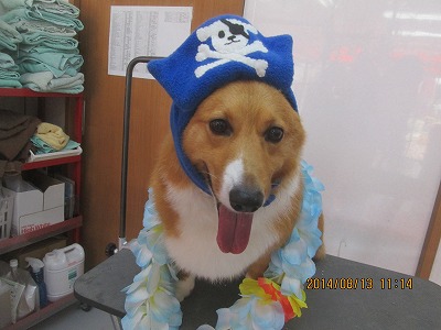 ファイル 8048-1.jpg