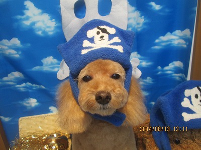 ファイル 8049-1.jpg