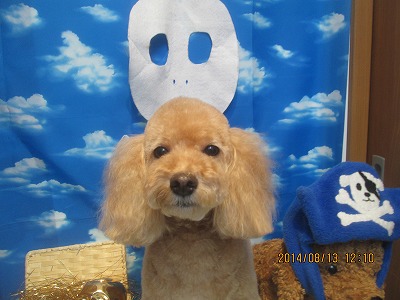 ファイル 8049-2.jpg