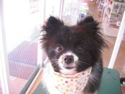 ファイル 805-1.jpg