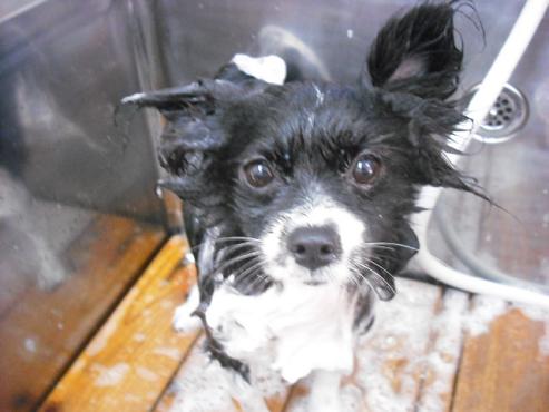 ファイル 805-2.jpg