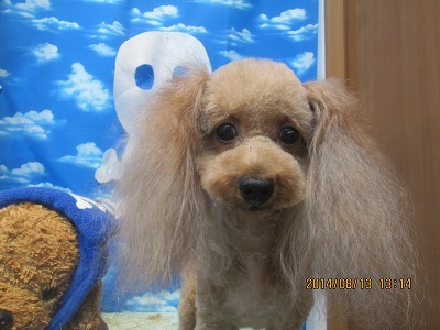 ファイル 8050-1.jpg