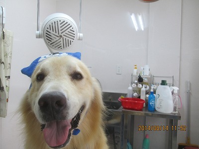 ファイル 8051-1.jpg