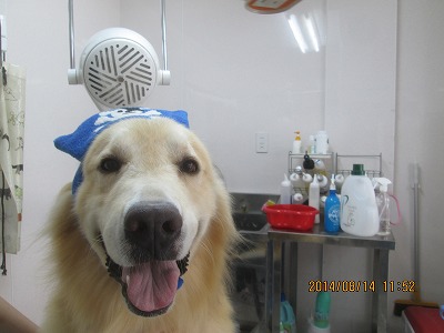 ファイル 8051-2.jpg