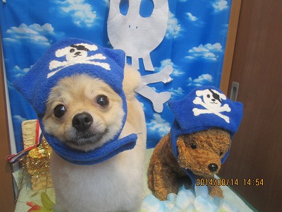 ファイル 8052-1.jpg