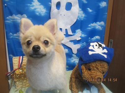 ファイル 8052-2.jpg