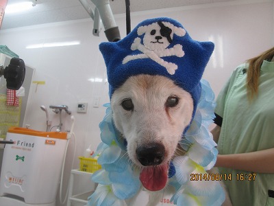 ファイル 8053-1.jpg