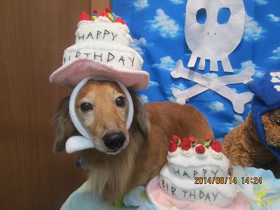 ファイル 8054-1.jpg