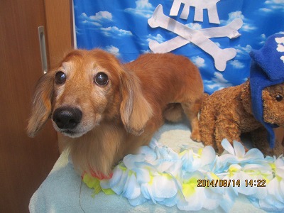 ファイル 8054-2.jpg