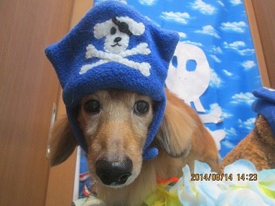 ファイル 8054-3.jpg