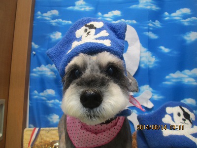 ファイル 8055-1.jpg