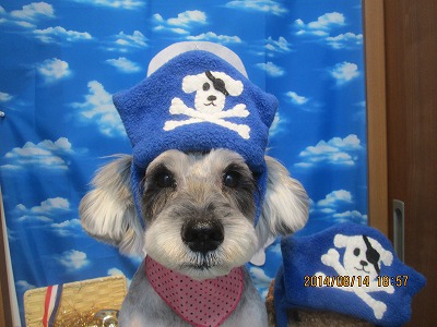 ファイル 8056-1.jpg