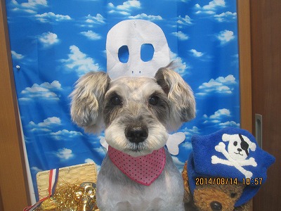 ファイル 8056-2.jpg